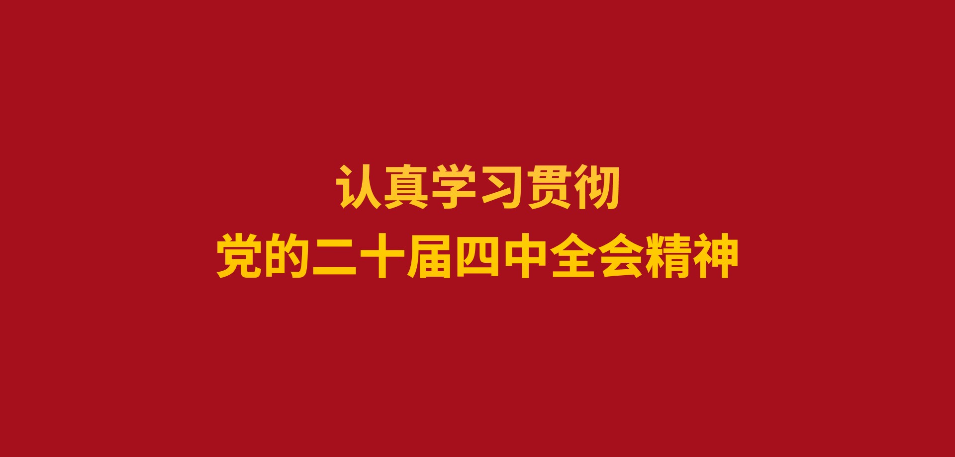 认真学习贯彻党的二十届四中全会精神